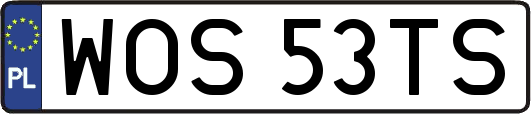 WOS53TS