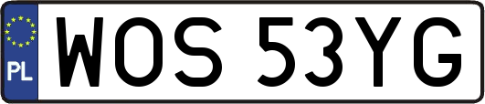 WOS53YG