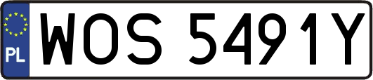 WOS5491Y