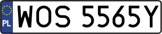 WOS5565Y