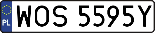 WOS5595Y