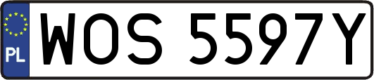 WOS5597Y