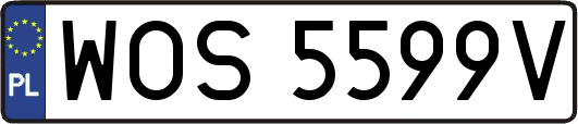 WOS5599V
