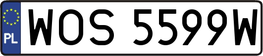 WOS5599W