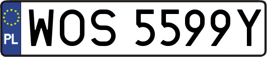 WOS5599Y