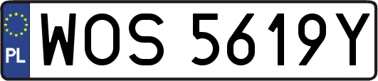 WOS5619Y
