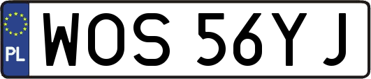 WOS56YJ