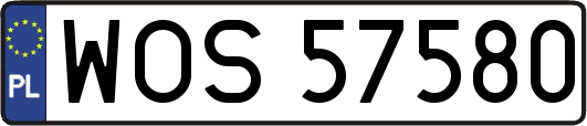 WOS57580