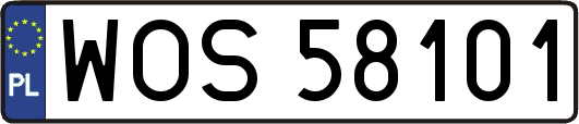 WOS58101