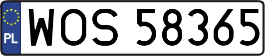 WOS58365