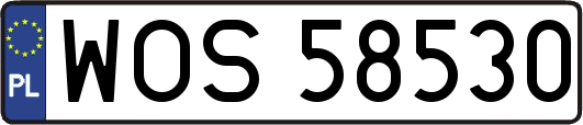 WOS58530