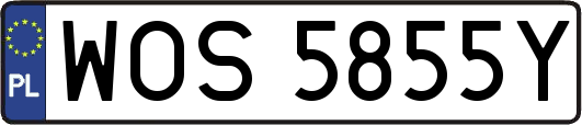 WOS5855Y