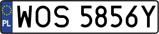 WOS5856Y
