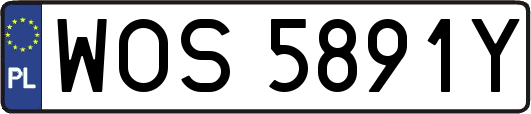 WOS5891Y