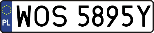 WOS5895Y
