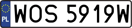 WOS5919W