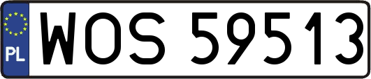 WOS59513