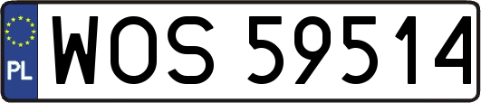 WOS59514