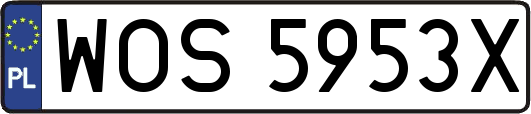 WOS5953X