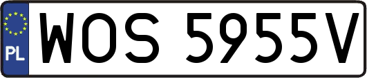 WOS5955V