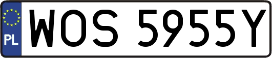 WOS5955Y