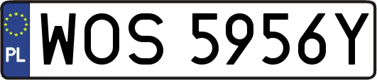WOS5956Y