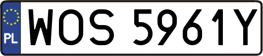 WOS5961Y