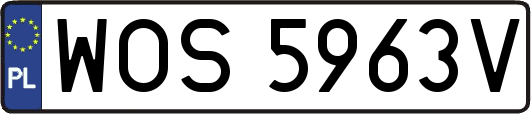 WOS5963V