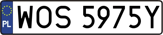 WOS5975Y