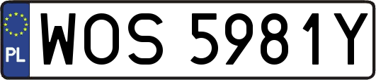 WOS5981Y