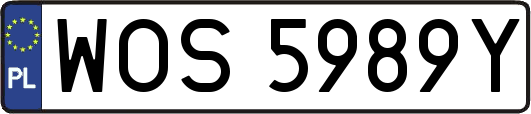 WOS5989Y
