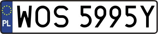 WOS5995Y