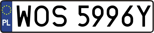 WOS5996Y