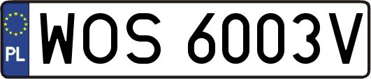 WOS6003V