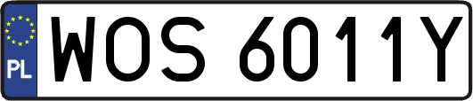 WOS6011Y