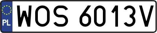 WOS6013V
