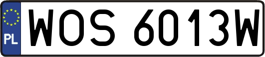 WOS6013W