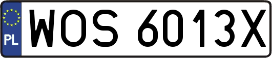 WOS6013X