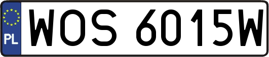 WOS6015W