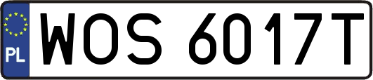 WOS6017T