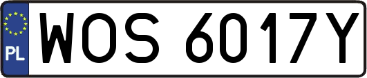WOS6017Y