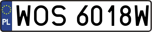 WOS6018W