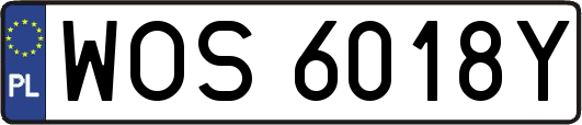 WOS6018Y