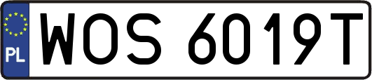 WOS6019T