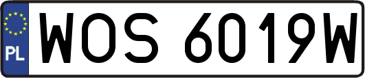 WOS6019W