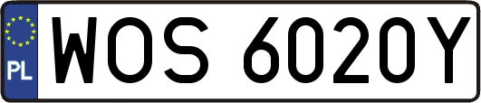 WOS6020Y