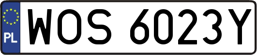 WOS6023Y