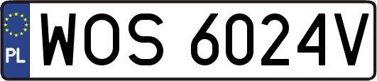 WOS6024V