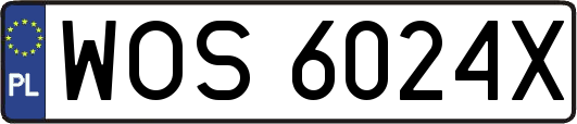 WOS6024X