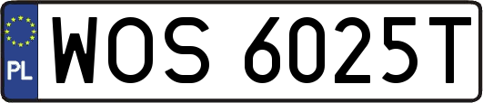 WOS6025T